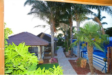 יחידות סגולה - החצר והבריכה