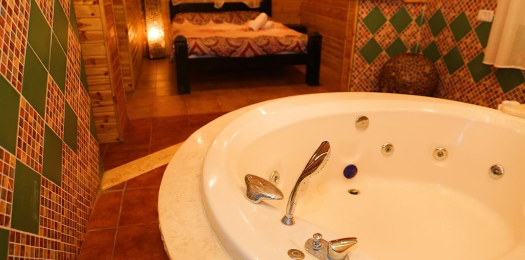 יחידות סגולה הזוגיות (8).JPG