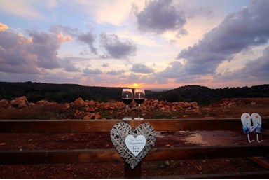 צימר אמורה - החצר והבריכה