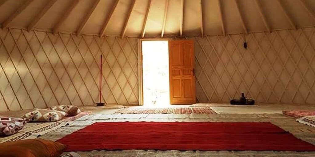 שירת התמר שירת התמר (3).jpg