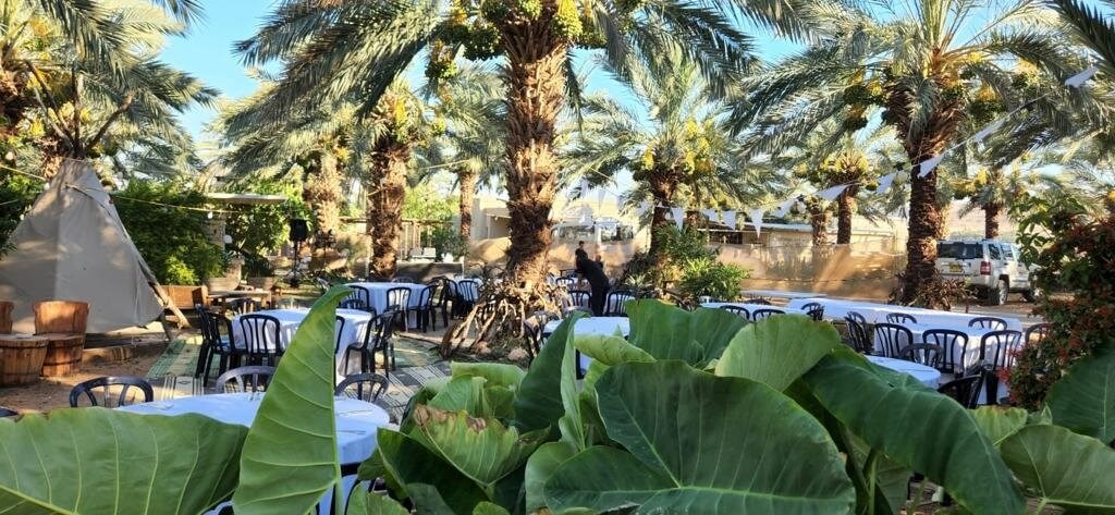 שירת התמר חדש 7 (13).jpeg