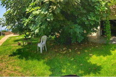 סמדר על הים - מרפסת מול הים