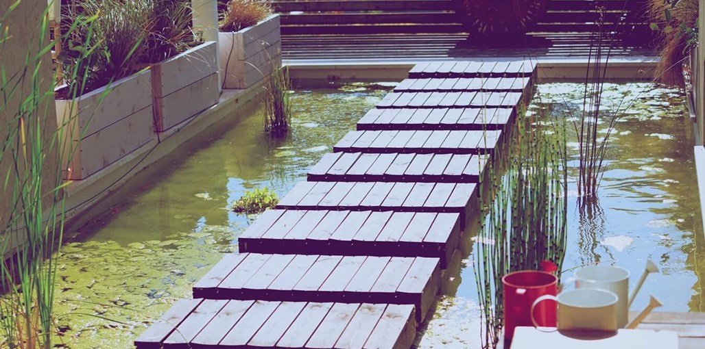 רמתא בוטיק ויין _DSC1925.jpg