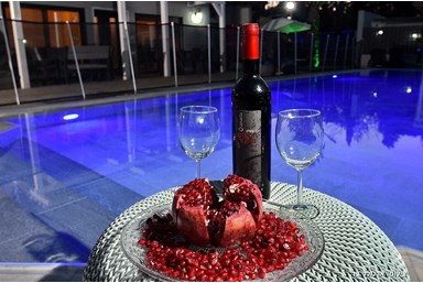 אחוזת שקד - החצר והבריכה