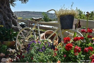 כליל הנוף - בקתת דפנה