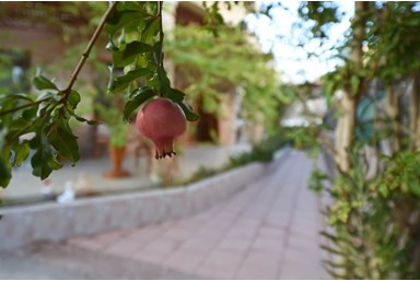 נאורייתא - מתחם החוץ