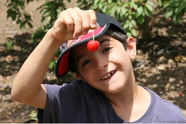 משק לוי - קמפינג שעל