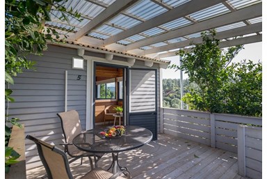 פינה ביער - החצר והבריכה