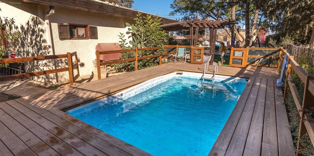 ציפור מדבר ציפור מדבר (4).jpg