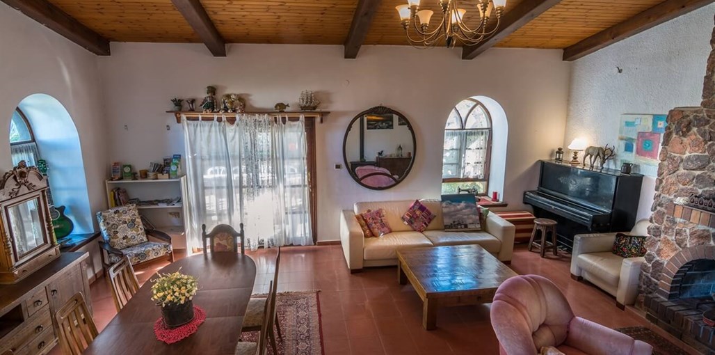 ציפור מדבר ציפור מדבר (6).jpg