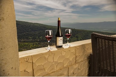 צימר לרגלי החרמון Old school - המרפסת והנוף