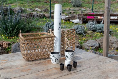 צימר ידיים מרפאות - החצר והנוף