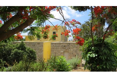 ארט סי - Art sea