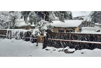 גן עדן באופק