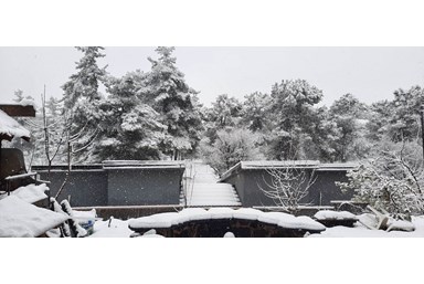 גן עדן באופק