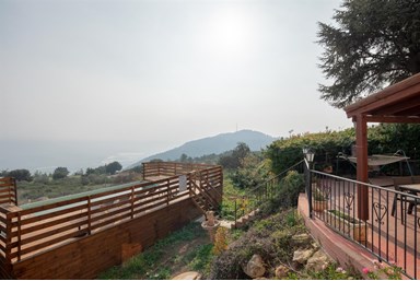 בית הלבנדר - הבריכה והחצר