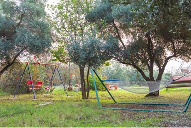 בית הלבנדר - הבריכה והחצר