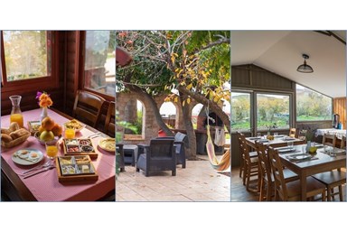 בית הלבנדר - הבריכה והחצר