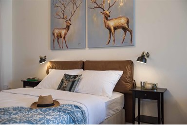 אוליב בגלבוע - חדרי קלאסיק