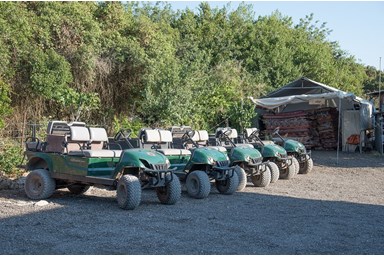 קמפינג משק חפר באבירים - טום קאר, ריינג'רים ועדר עיזים