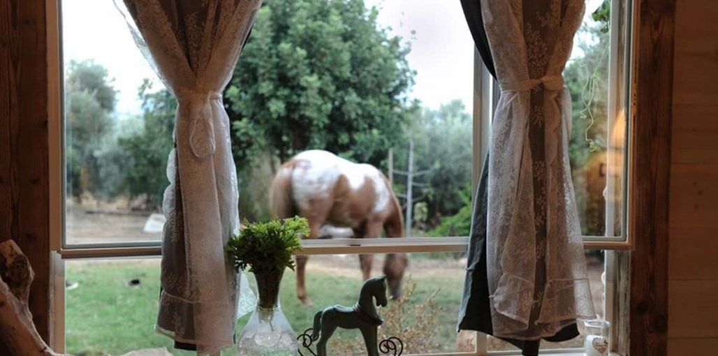 אי שם בכליל אי שם (11).jpg