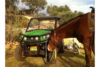 אי שם בכליל - בשביל האושר - סוסים וריינג'ר