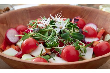 אי שם בכליל