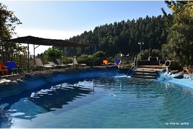 נפלאות הגליל - הבריכה והחצר