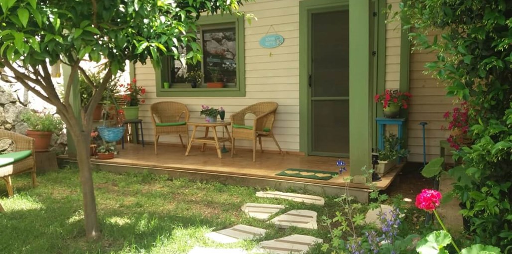 הצימר של ענת הצימר של ענת - הבריכה והחצר (2).jpeg