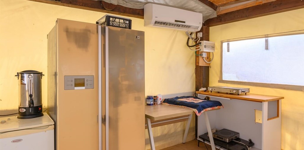 בינות תמרים TMR_6152_תומר_שלנגר_צלם.jpg