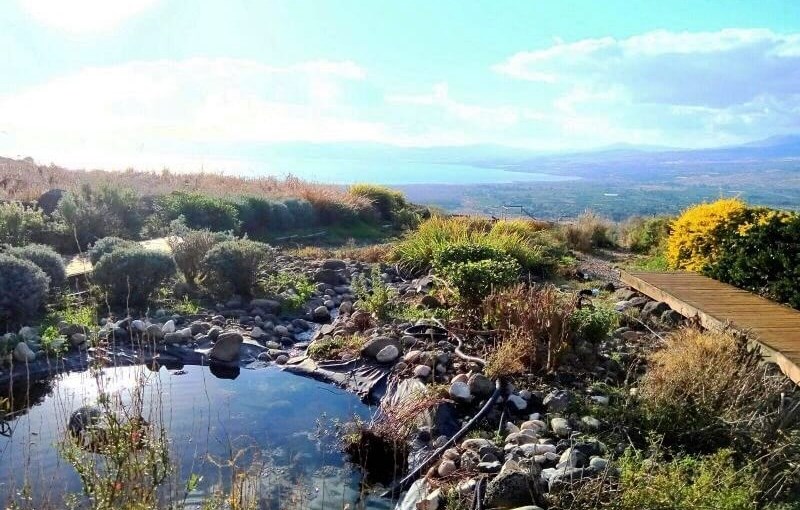 מעלה השחר 95 (Big).jpg