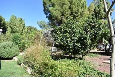 רוטשילד מארח בגליל - החצר והקיבוץ