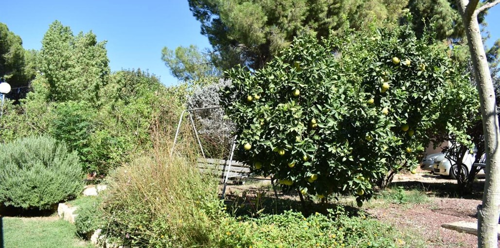 רוטשילד מארח בגליל יחידה זוגית (8).jpg