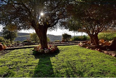 מול הרים וים