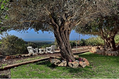 מול הרים וים