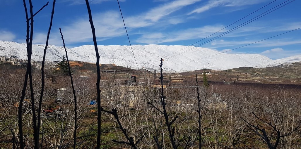 אירוח מיקסטו מול החרמון 20190110_135837.jpg
