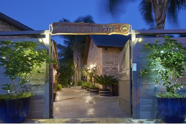 חלומות נפתלי - הבריכה והחצר