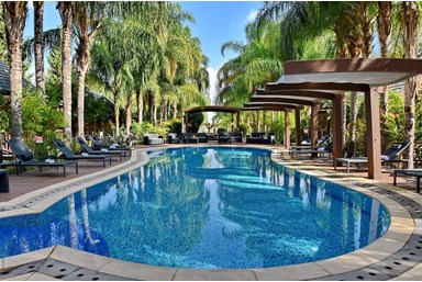 חלומות נפתלי - הבריכה והחצר