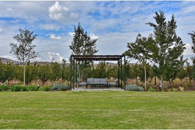 חלומות נפתלי - הבריכה והחצר