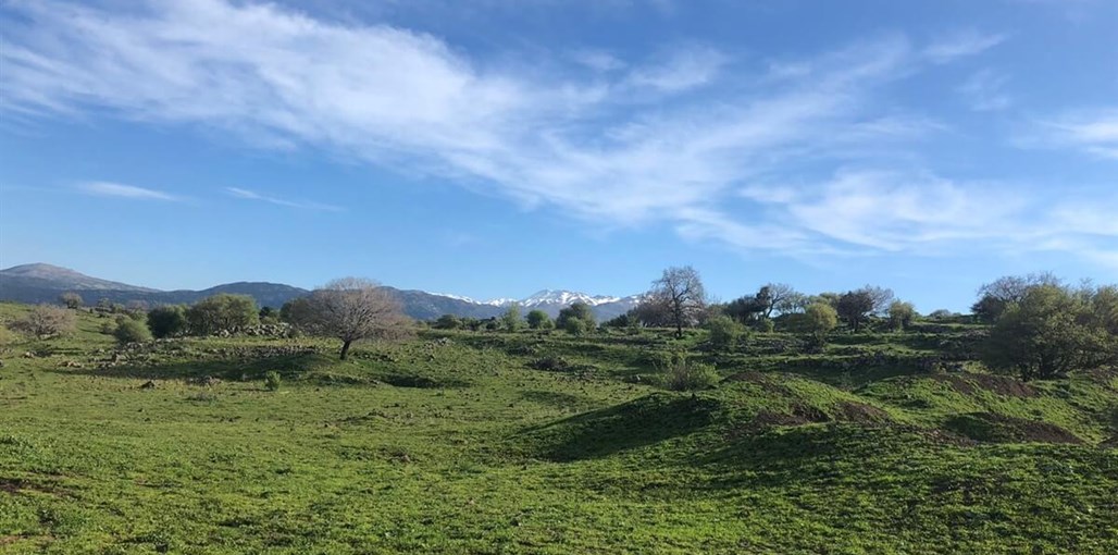 למיטה הוטל - Lamita Hotel WhatsApp Image 2019-03-20 at 10.42.24.jpeg