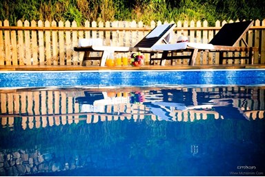 פנינה בכרם - הבריכה והחצר