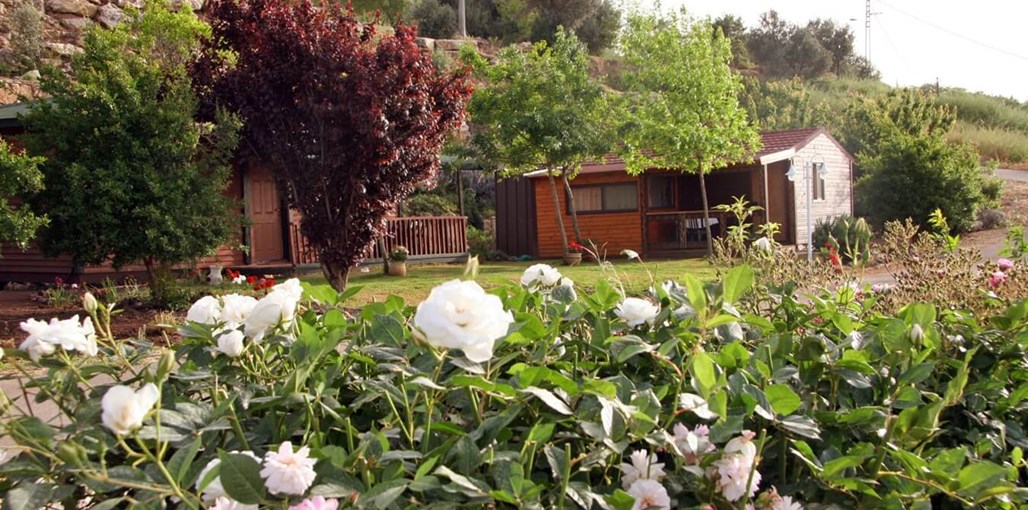 פנינה בכרם חצר ונוף (4).JPG