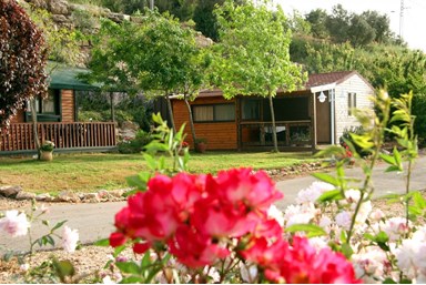 פנינה בכרם - הבריכה והחצר