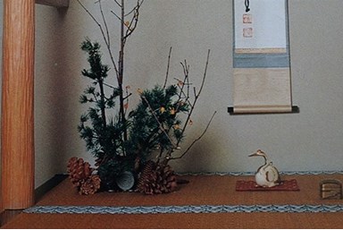 טאיקו - אירוח יפני - טקס תה יפני