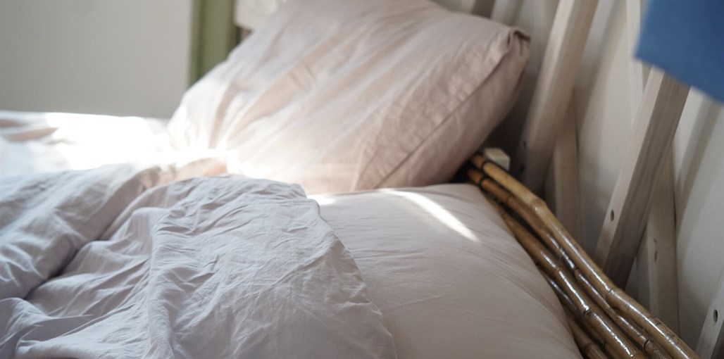 טאיקו - אירוח יפני יורטים (2).JPG