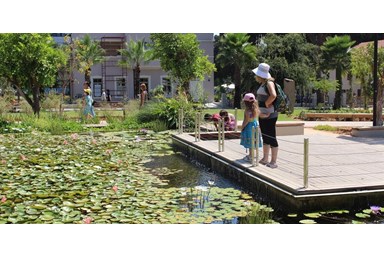 הוטל גארדן 68 TLV - החדרים