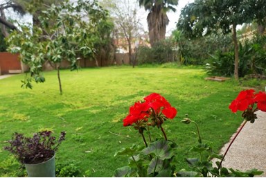 בית וינר בכוכבים