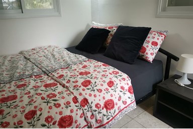 בית וינר בכוכבים