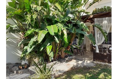 אצל דניאל במושבה כנרת - הבריכה והנוף