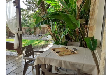 אצל דניאל במושבה כנרת - הבריכה והנוף